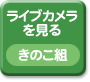 ���C�u�J����������@���̂��g