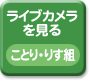 ���C�u�J����������@���Ƃ�E�肷�g